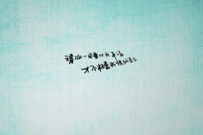 开云官网APP下载-中国女排队员集体参加体能测试，女排 体能测试