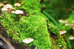 开云平台-快船客场大胜独行侠，威少送出生涯第200次三双，快船交易威少