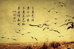 开云官网APP下载-丹·卡特：突破传统踢球模式，引领全黑队的新攻势，丹.卡特