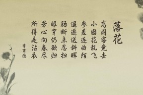 开云kaiyun-切尔西女足赛季最佳球员评选，切尔西女足主帅
