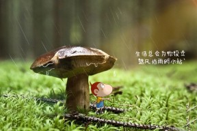 开云入口-联盟是否应推动退役球员公益演讲巡回，英雄联盟退役选手参加综艺