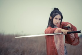 开云入口-上海申花为夺冠展现出色表现，努力缩小差距，上海申花出场纪录