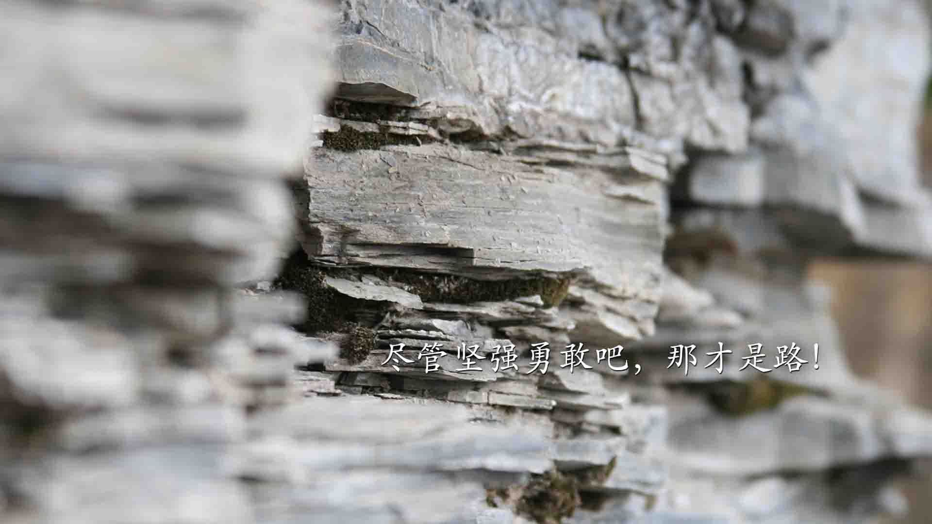 奇才球队进攻火力全开，奇才队球员名单虎扑