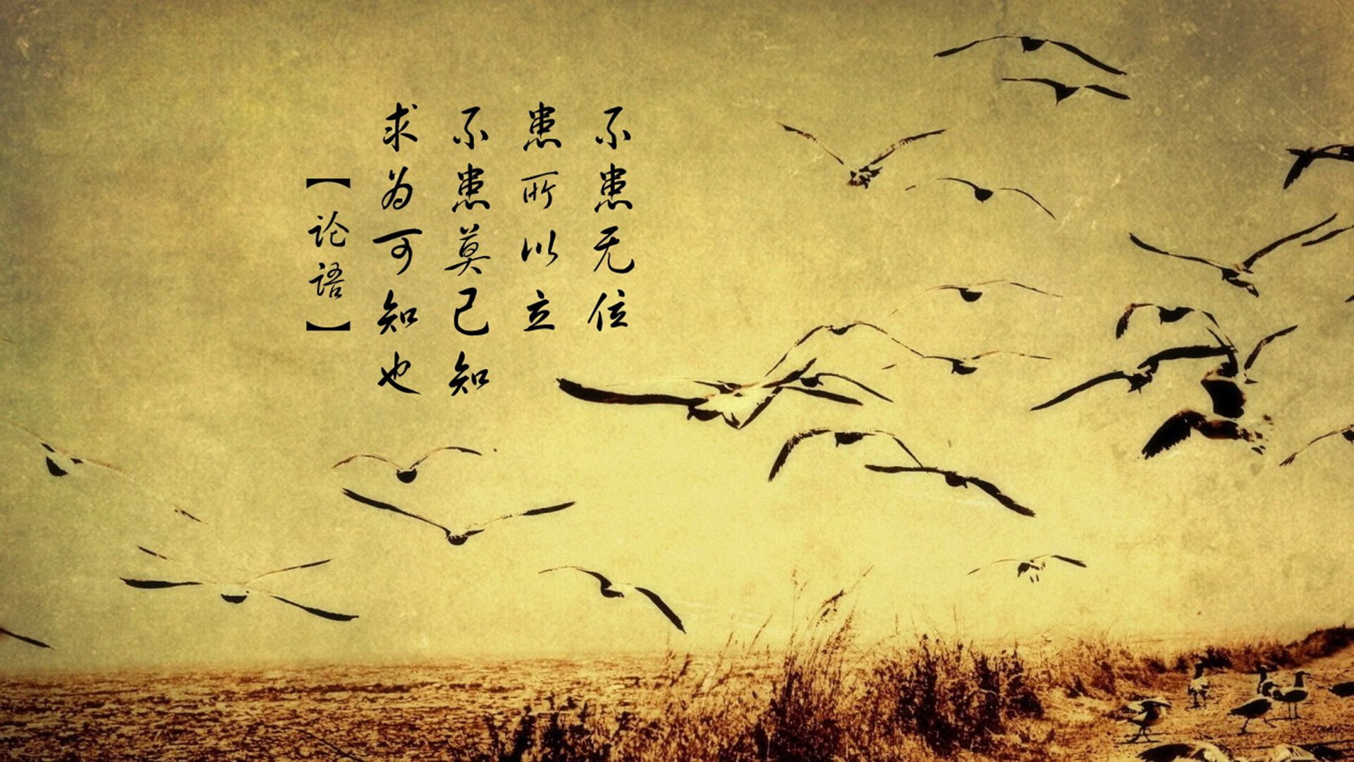 弗赖堡的整体防守能力是否被低估，弗赖堡位置