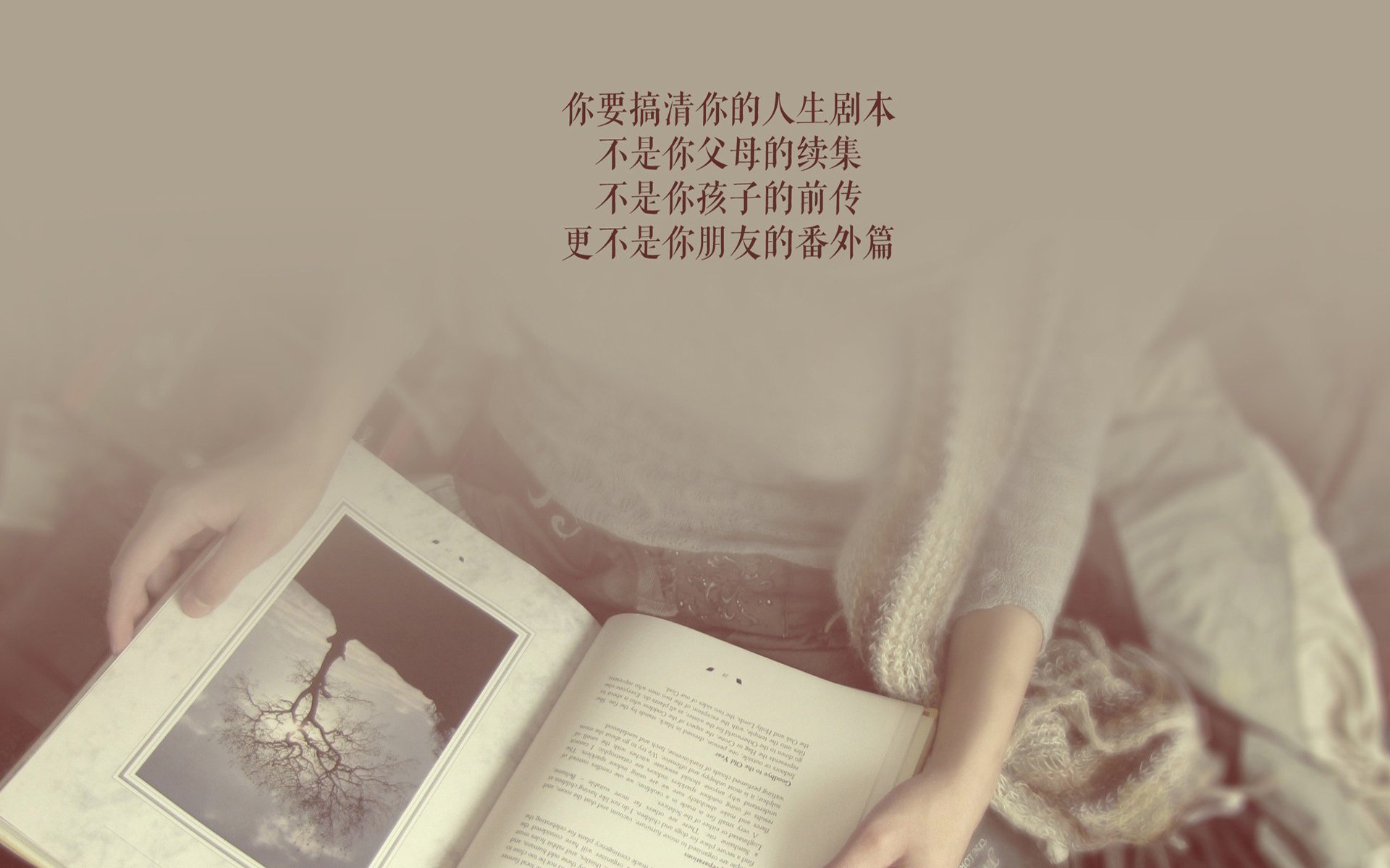 罗瑟汉姆后防稳定，米勒人争夺升级资格，罗瑟汉姆对巡游者