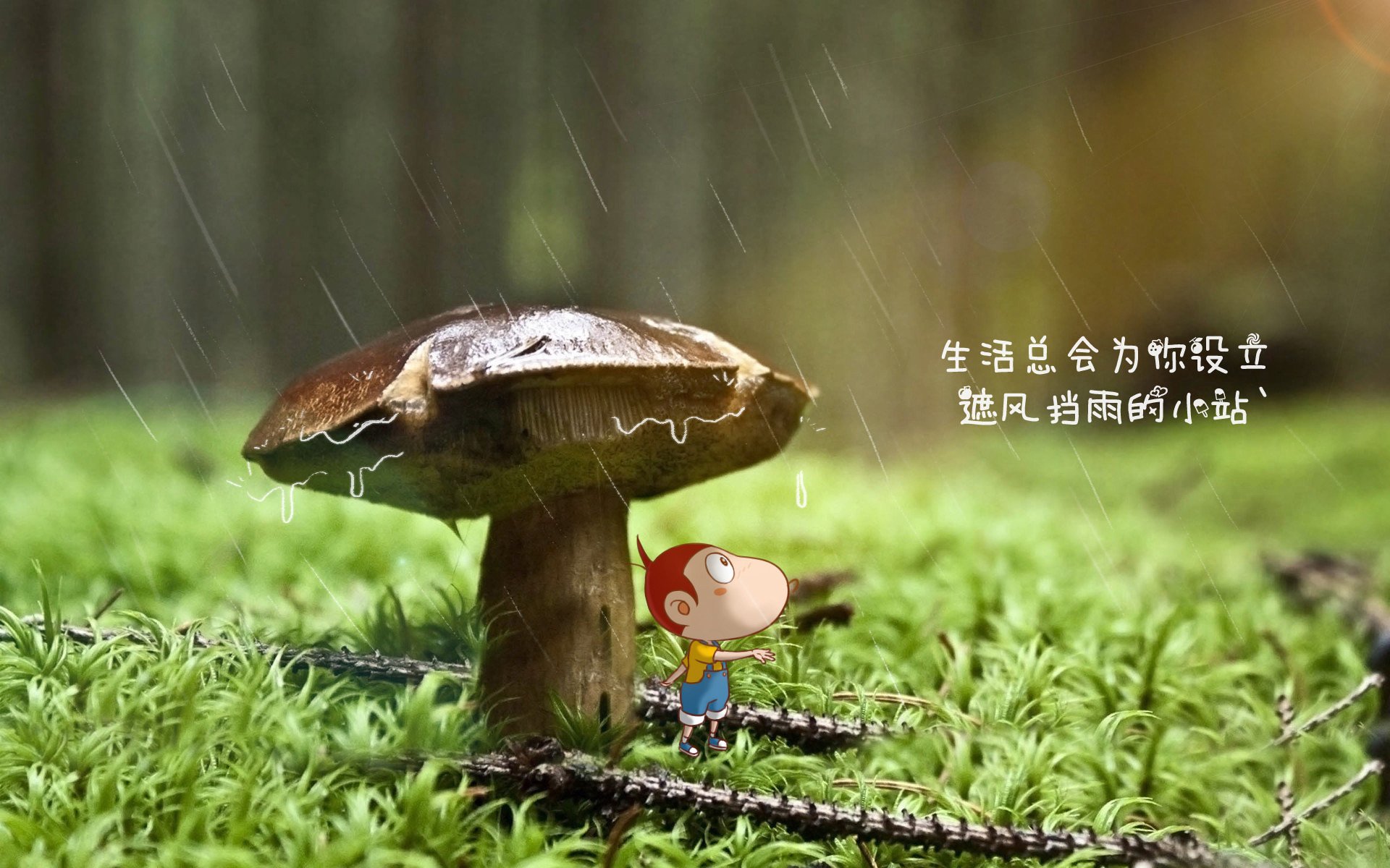 联盟是否应推动退役球员公益演讲巡回，英雄联盟退役选手参加综艺