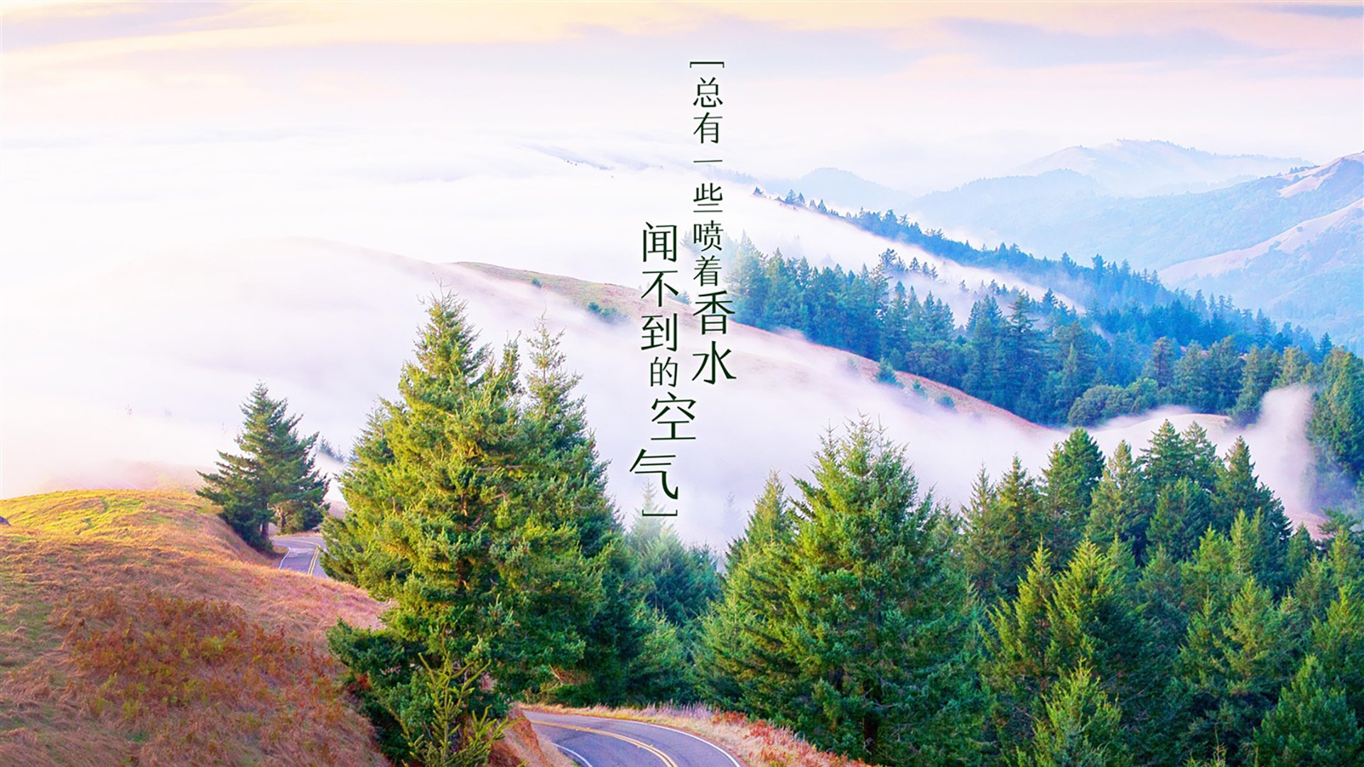中国足球中后场覆盖力研究，足球中后场球员