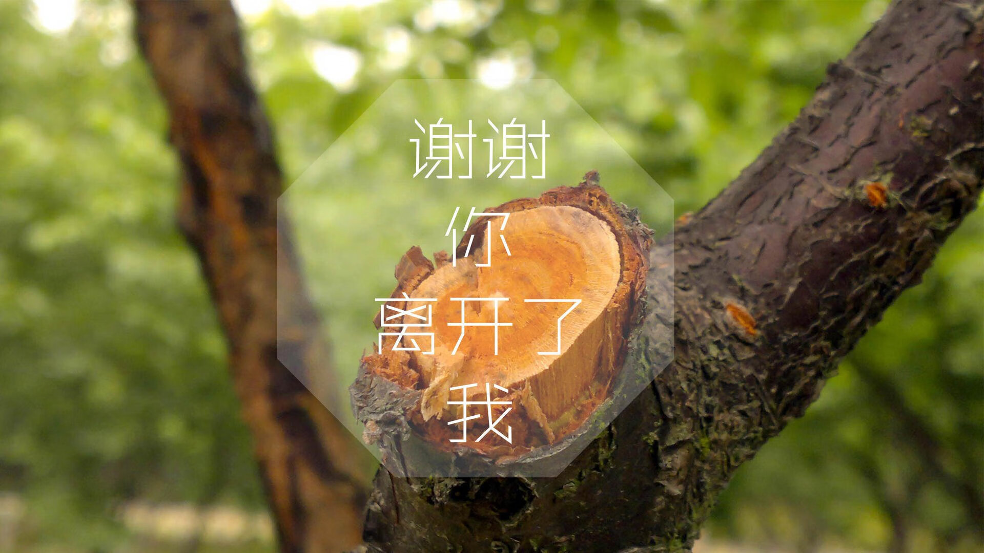 高校体育赛事观众体验提升，高校体育赛事观众体验提升方案